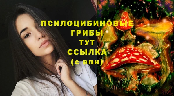 гашишное масло Нефтекумск