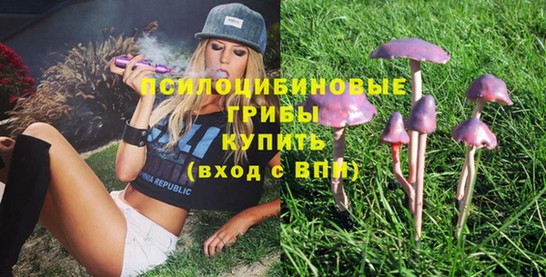 стафф Нефтегорск