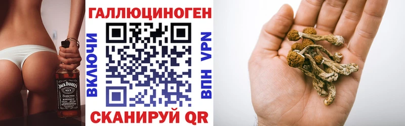 продажа наркотиков  гидра рабочий сайт  Псилоцибиновые грибы Psilocybe  Нижняя Тура 