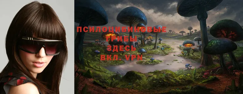 hydra ссылки  Нижняя Тура  Галлюциногенные грибы Magic Shrooms 